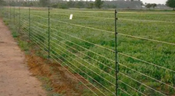 कंटीले तार लगाने पर हो सकती है जेल