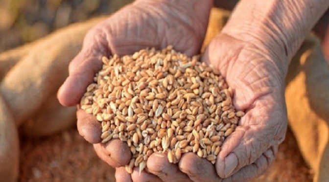 खुशखबरी:15 करोड़ लोगों को दिसंबर तक मिलेगा मुफ्त राशन