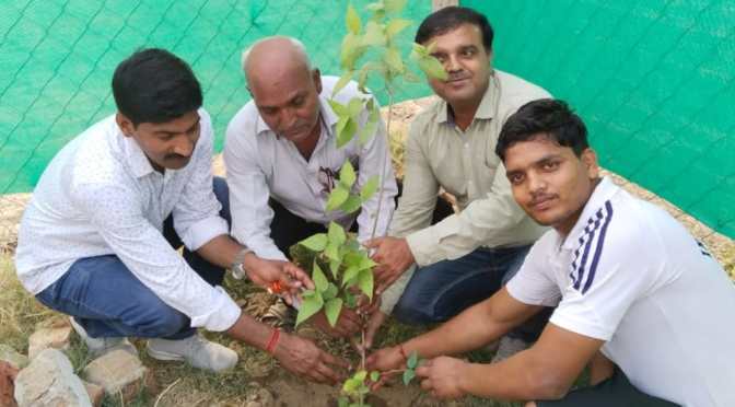 यादगार दिवसों पर अवश्य करें पौधारोपण
