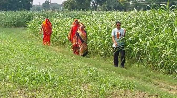 दबंगों ने किया चकरोड पर कब्जा